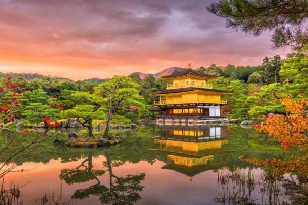 Zlota Swiatynia w Kyoto z Off Course Trips!