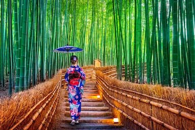 Japonia z OffCourse Trips!