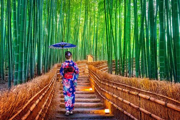 Japonia z OffCourse Trips!