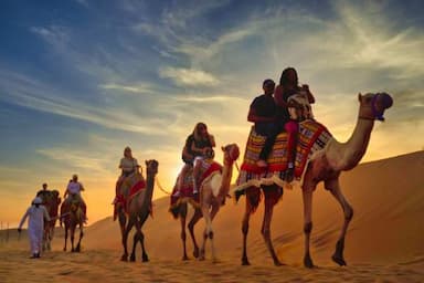 Jordania - Wyprawa z Off Course Trips